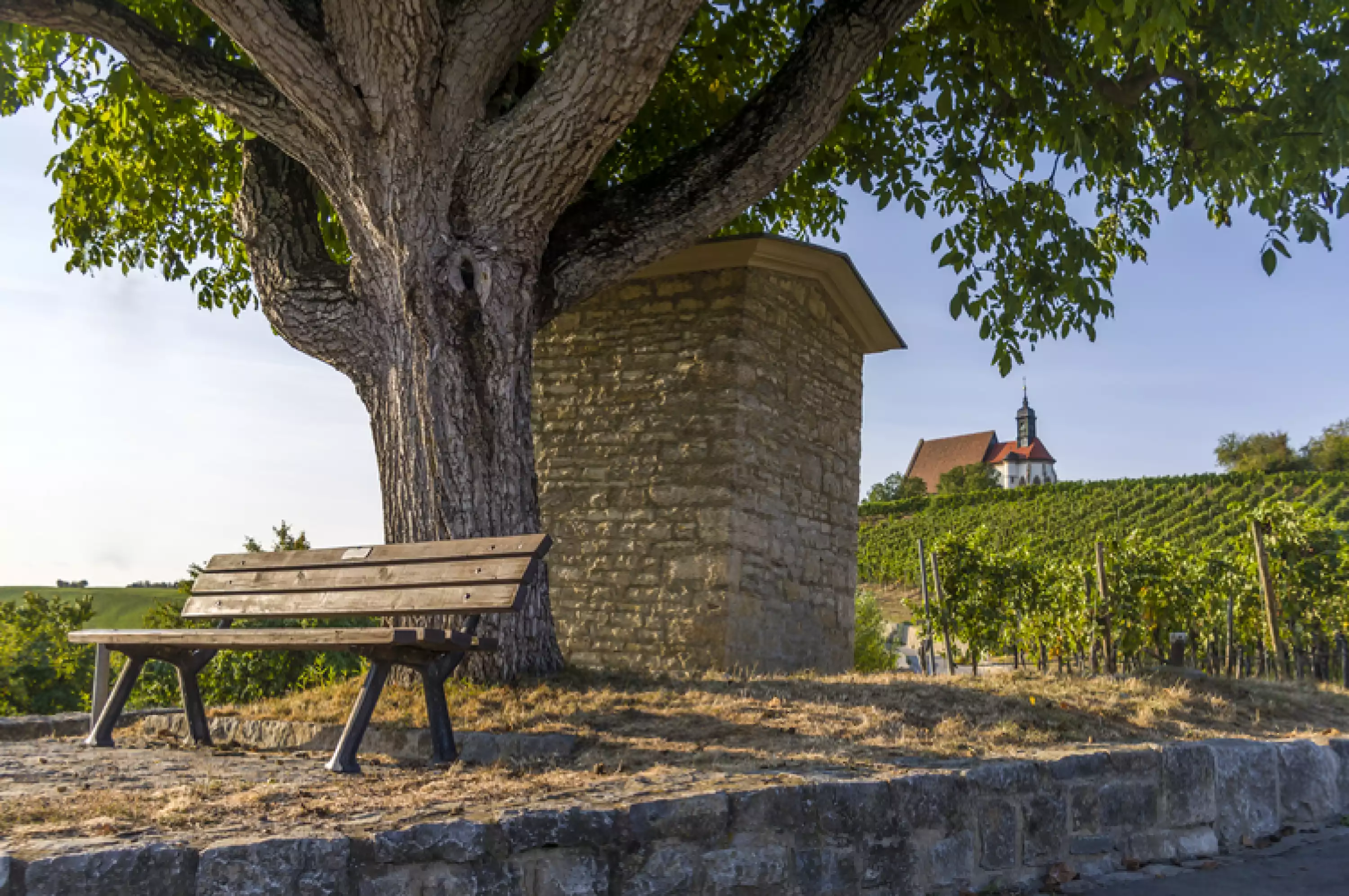 Mainfränkische Lebensfreude