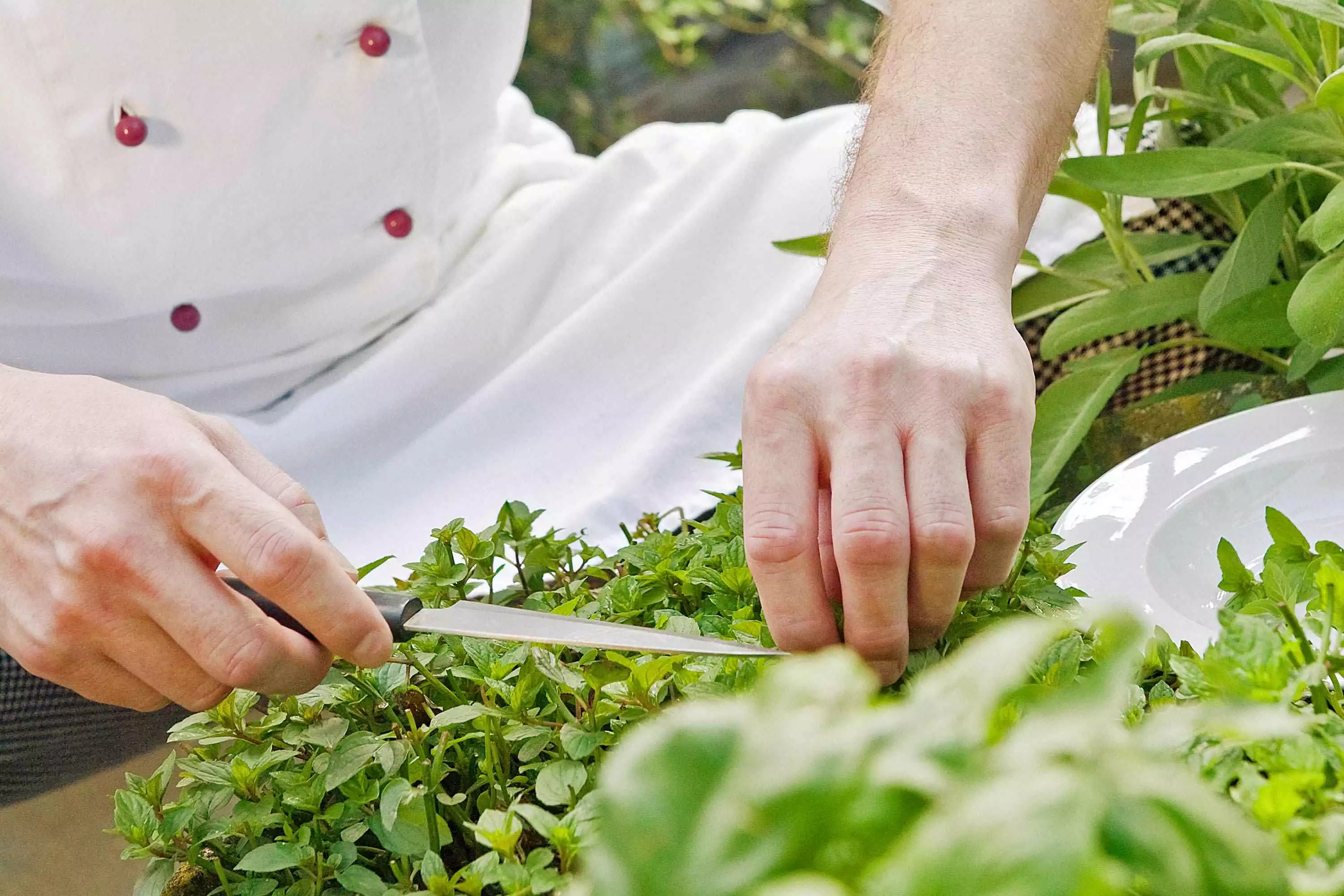 Hotel Löwen in Marktbreit